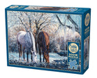 CT Cobble Winter Beauty | 500 pieces 