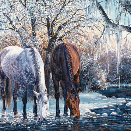CT Cobble Winter Beauty | 500 pieces 