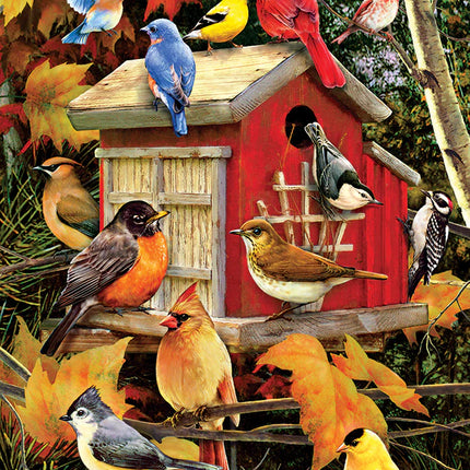 CT Cobble Autumn Birdhouse | 500 pieces 