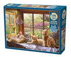 CT Cobble Sunbeam | 500 pieces 