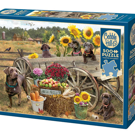 C-T 500 Cobble Hill Wagon de chocolat