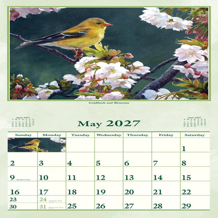 Calendrier Pine Ridge 2027 Wings of Nature
