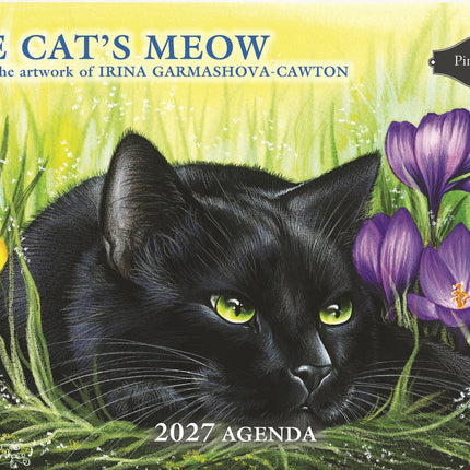 Pine Ridge 2027 Agenda The Cats Meow