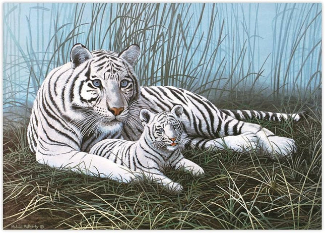 Peinture no tigres blancs dans brume