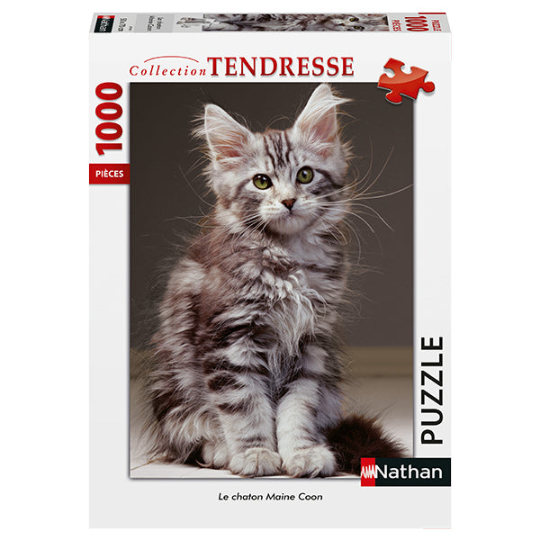 1000 mcx, Le chaton Maine Coon