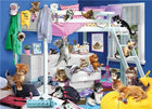 Ct 1000 cobble hill kitten slumber party