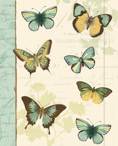 Cahier de notes Jardins des papillons - 7.75po X9.25po ligné