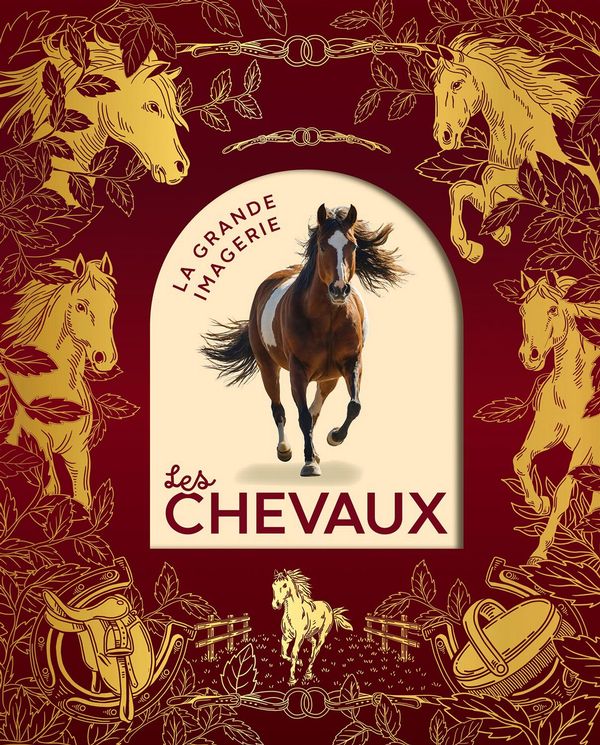 Les chevaux - Agnes Vandewiele