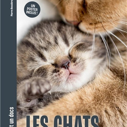 Les chats - Mille et un docs