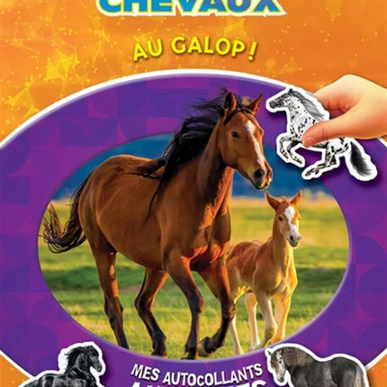 Le monde des chevaux - Au galop !