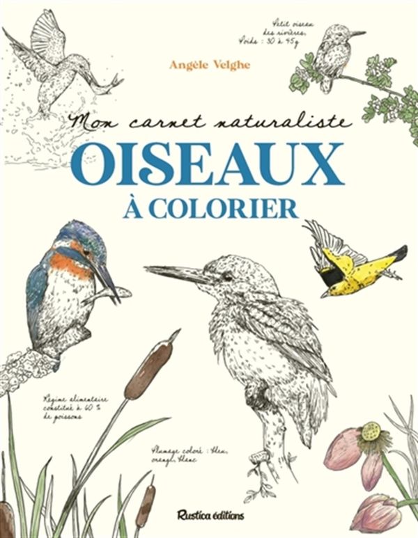 Mon carnet naturaliste - Oiseaux à colorier
