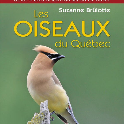 Oiseaux du Québec Les (Identification par la taille) N.E.