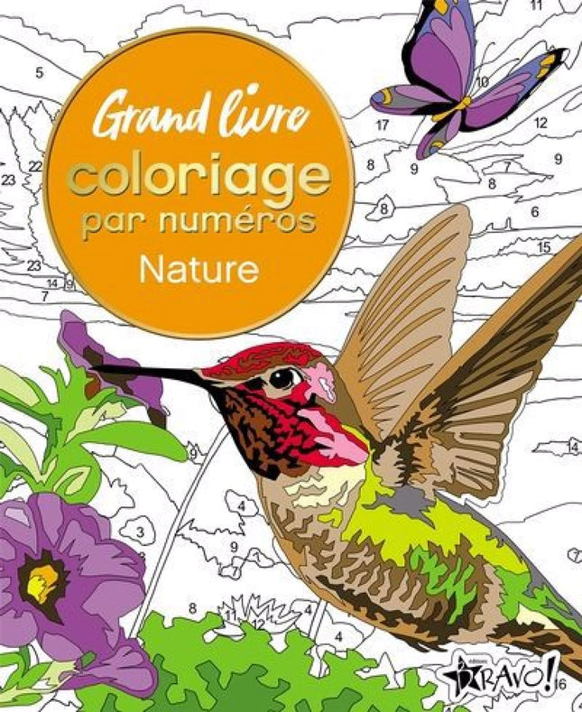 Large Coloring Book by Numbers - Nature