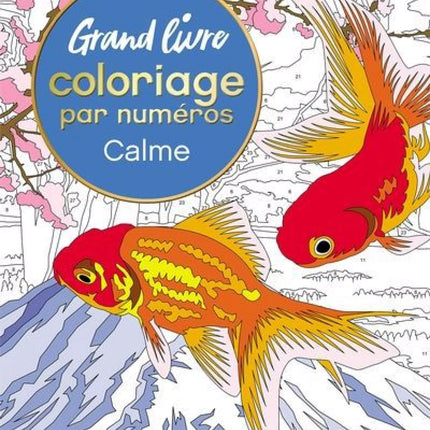 Grand livre de coloriage par numéros - Calme