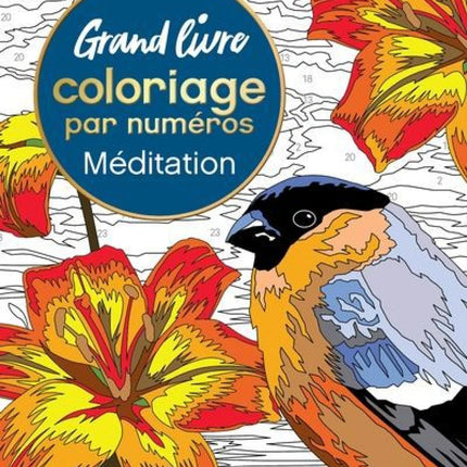 Grand livre de coloriage par numéros - Méditation
