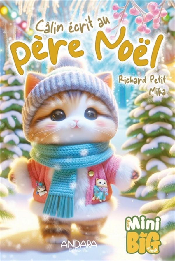 Câlin écrit au père Noël