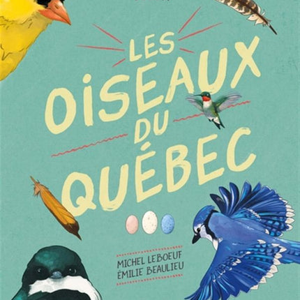 Les oiseaux du Québec - Petits curieux