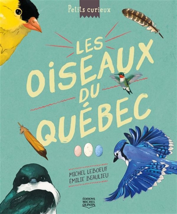 Les oiseaux du Québec - Petits curieux