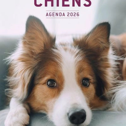 Chiens - Agenda 2026