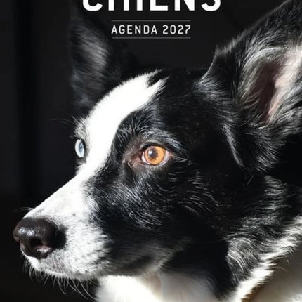 Chiens - Agenda 2027 : En compagnie de nos chiens