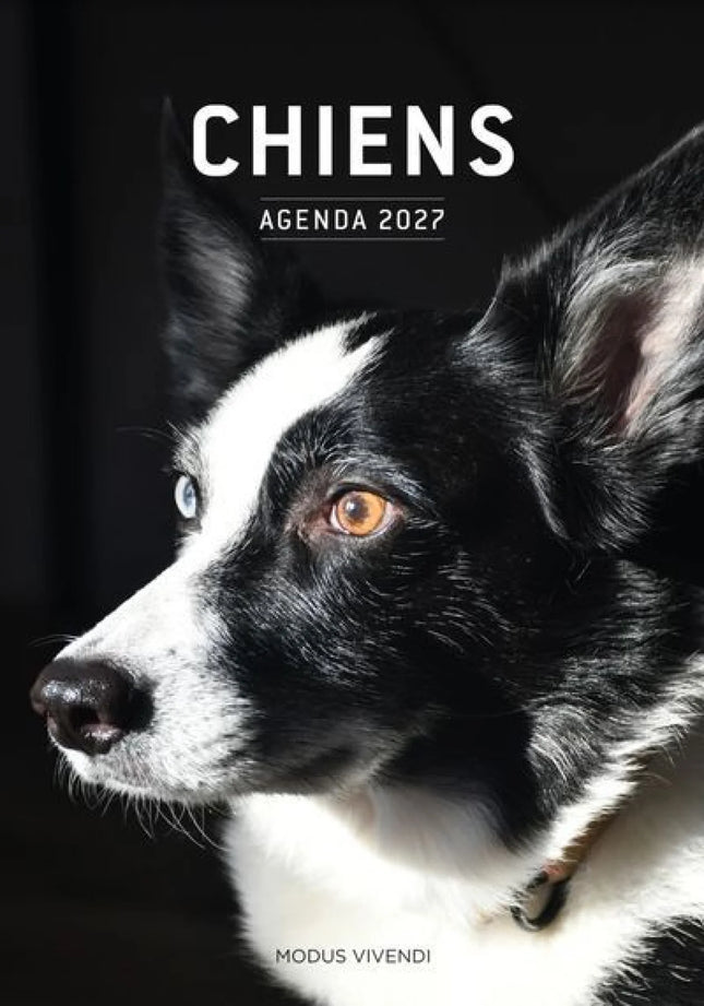 Chiens - Agenda 2027 : En compagnie de nos chiens