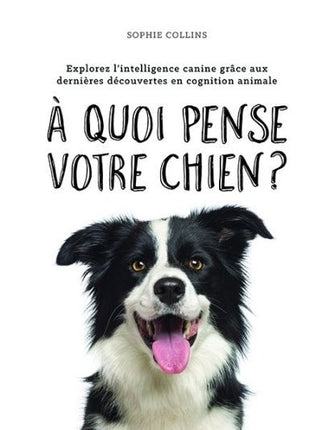 What is your dog thinking?: Explore canine intelligence through the latest discoveries in animal cognition