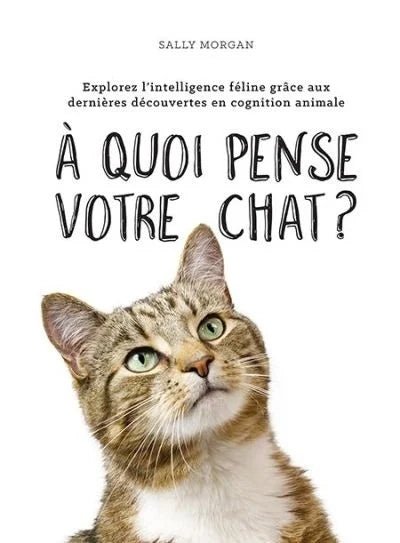 À quoi pense votre chat? : explorez l'intelligence féline grâce aux dernières découvertes en cognition animale