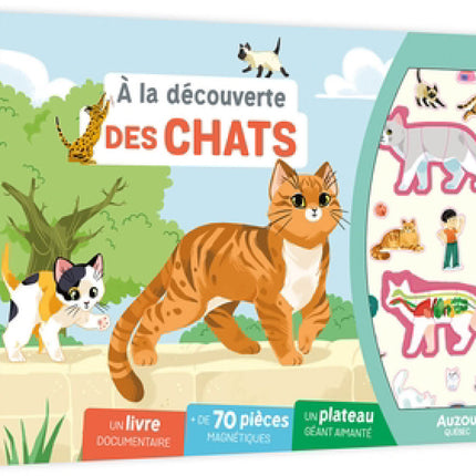 À la découverte des chats