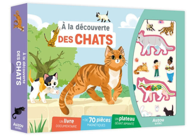 Discovering cats