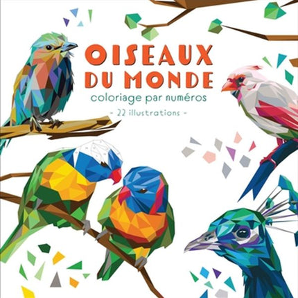 Oiseaux du monde - Coloriage par numéros