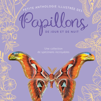 Illustrated Anthology of Butterflies and Moths: A Collection of Incredible Specimens