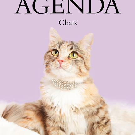 Agenda 2027 - CHATS