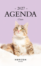 Agenda 2027 - CHATS