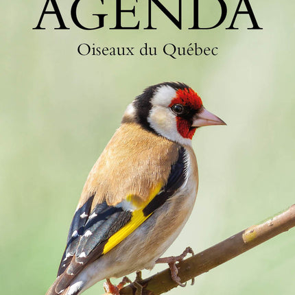 Agenda 2027 - Oiseaux du Québec