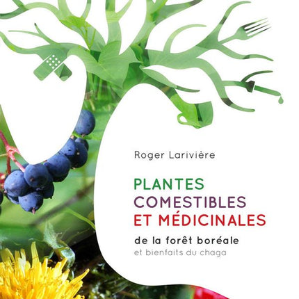 Plantes comestibles et médicinales de la forêt boréale et bienfaits du chaga