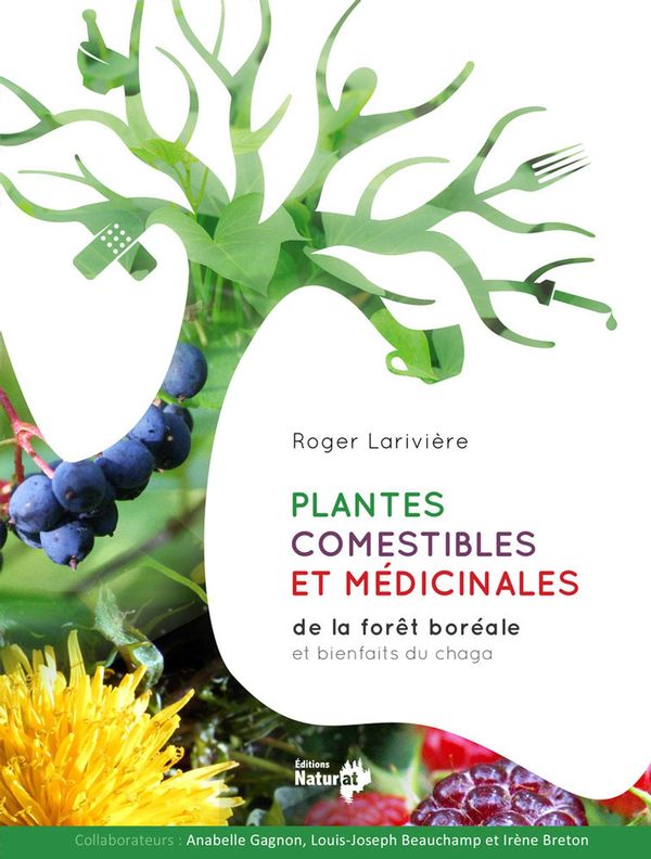 Plantes comestibles et médicinales de la forêt boréale et bienfaits du chaga