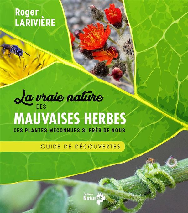 La vraie nature des mauvaises herbes - Guide de découvertes