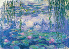 C-T 1000 Enjoy Nympheas (Water lilies) Claude Monet / E-1197