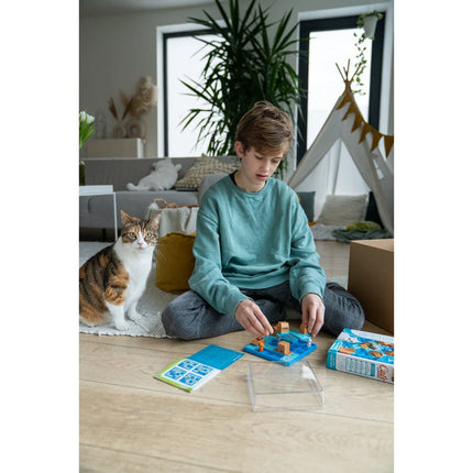 CHATS TOURNENT EN ROND