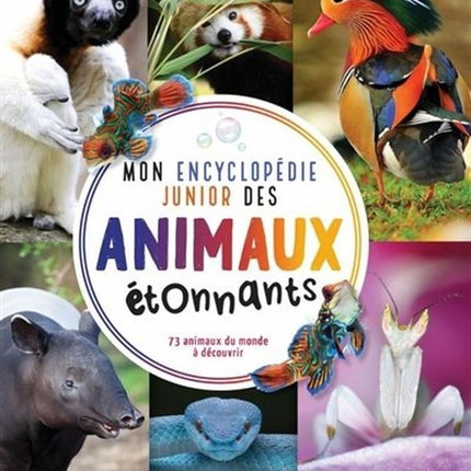 My Junior Encyclopedia of Amazing Animals - 73 Animals of the World to Discover