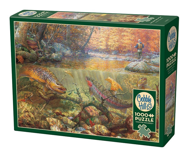 Ct 1000 cobble hill autumn dream day