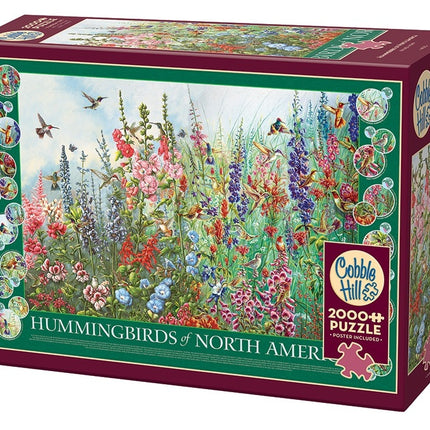 Ct 2000 cobble hill hummingbirds of north america