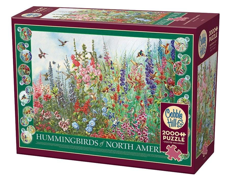 Ct 2000 cobble hill hummingbirds of north america