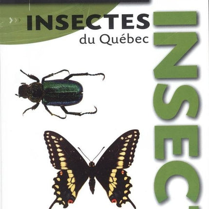 Insects