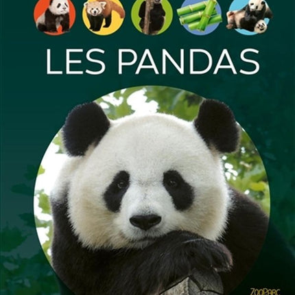 Pandas - the big picture