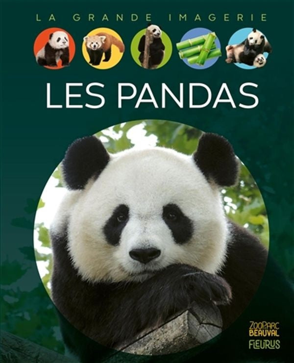 Pandas - the big picture