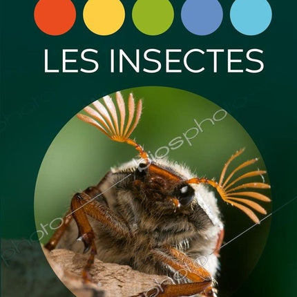 Insects