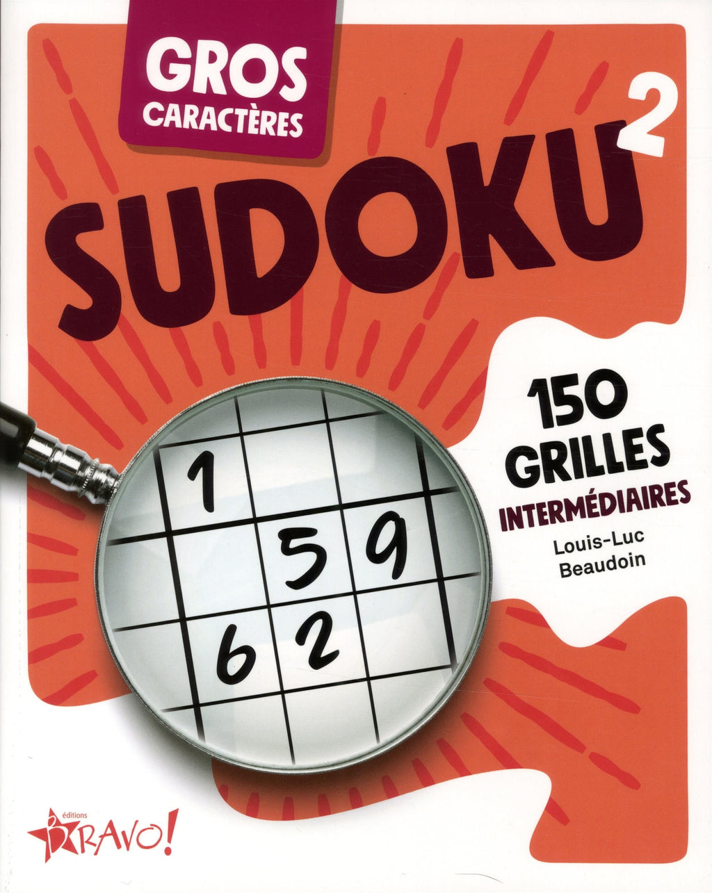 Large Print - Sudoku 2