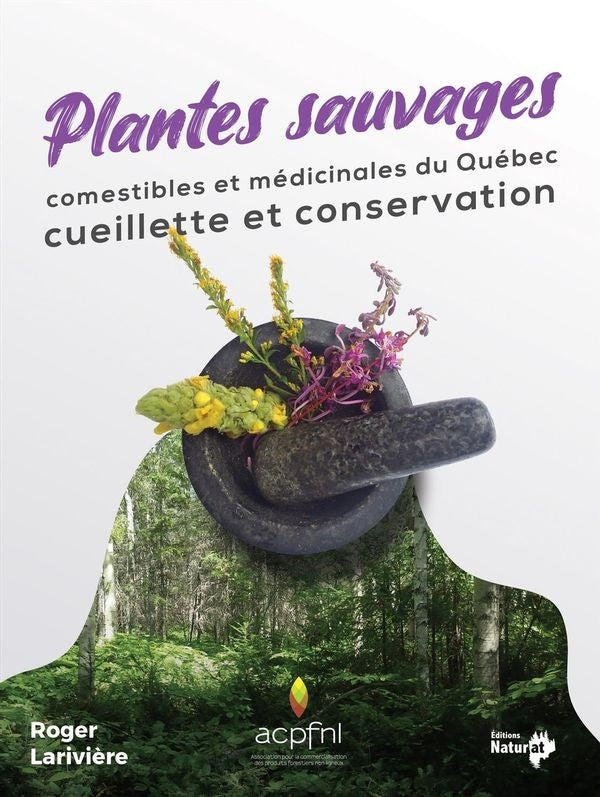 Edible and medicinal wild plants of Quebec - harvesting and conservation