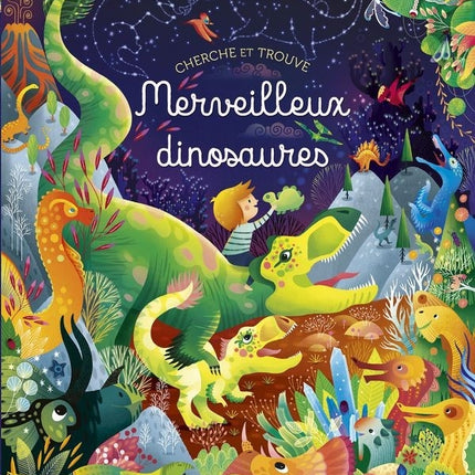 Wonderful Dinosaurs - Seek and Find